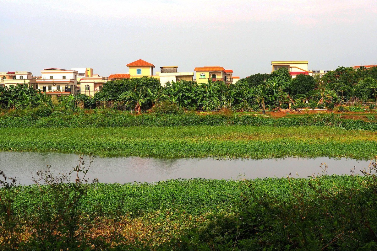 三角镇——路边随拍（3）