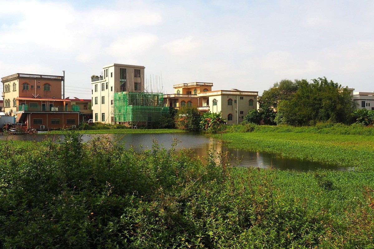 三角镇——路边随拍（3）