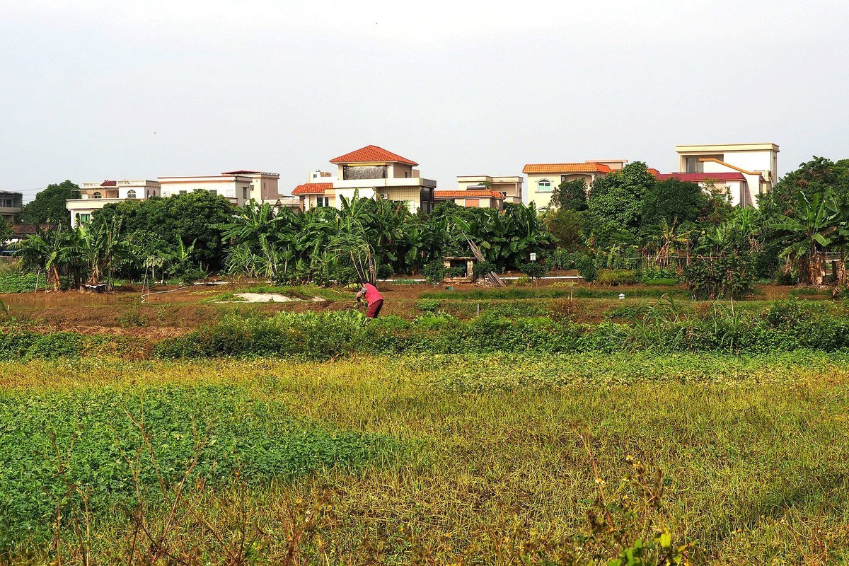 三角镇——路边随拍（3）