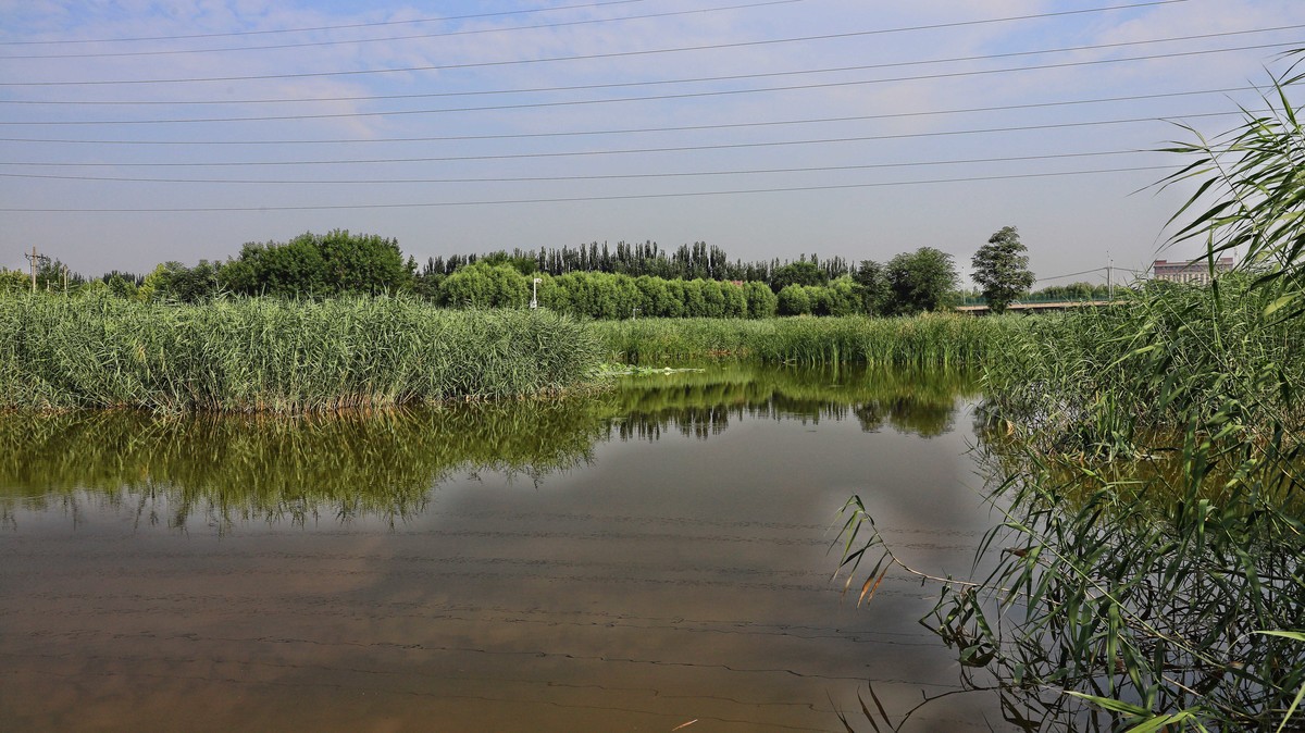中山西路三环湿地