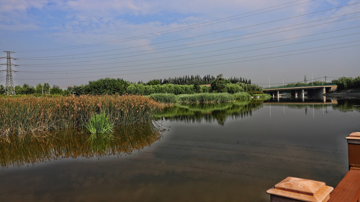 中山西路三环湿地