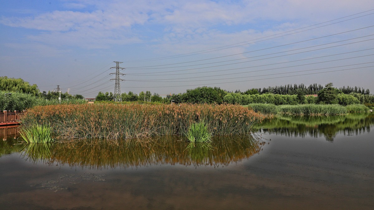 中山西路三环湿地