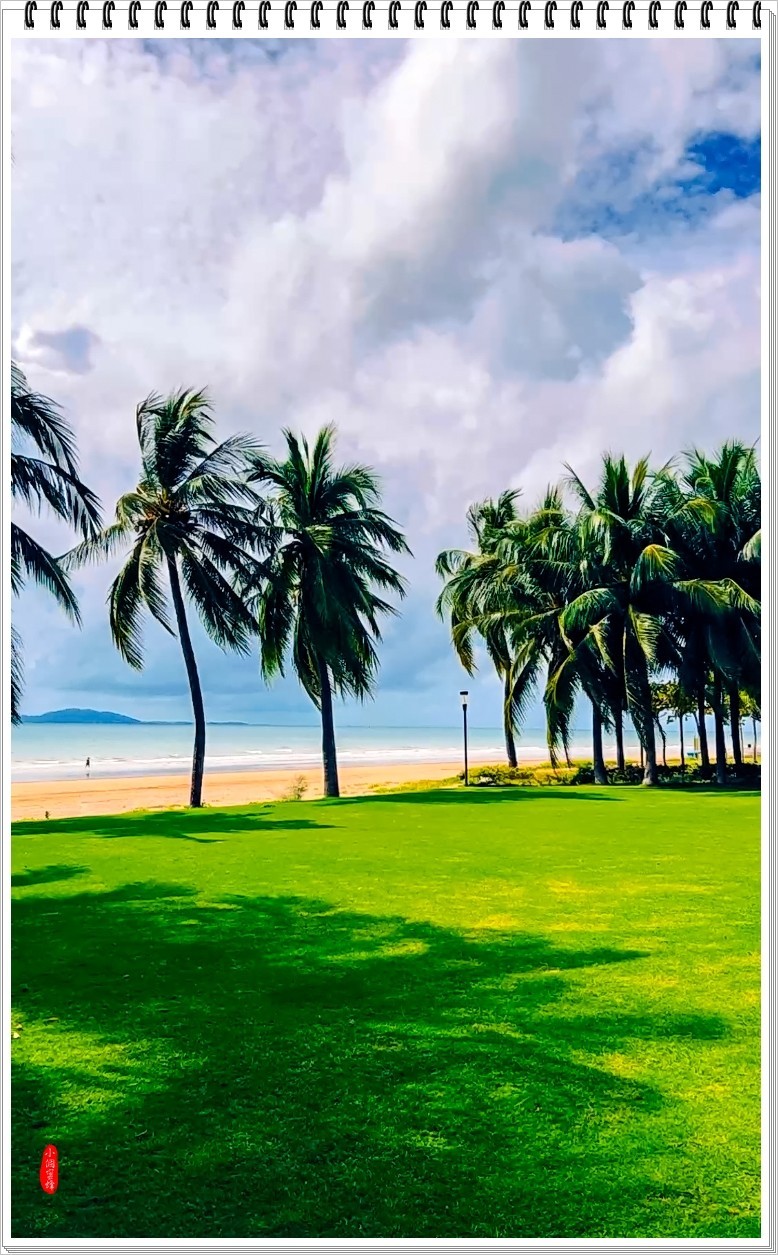 2023年海南三亚抓拍117