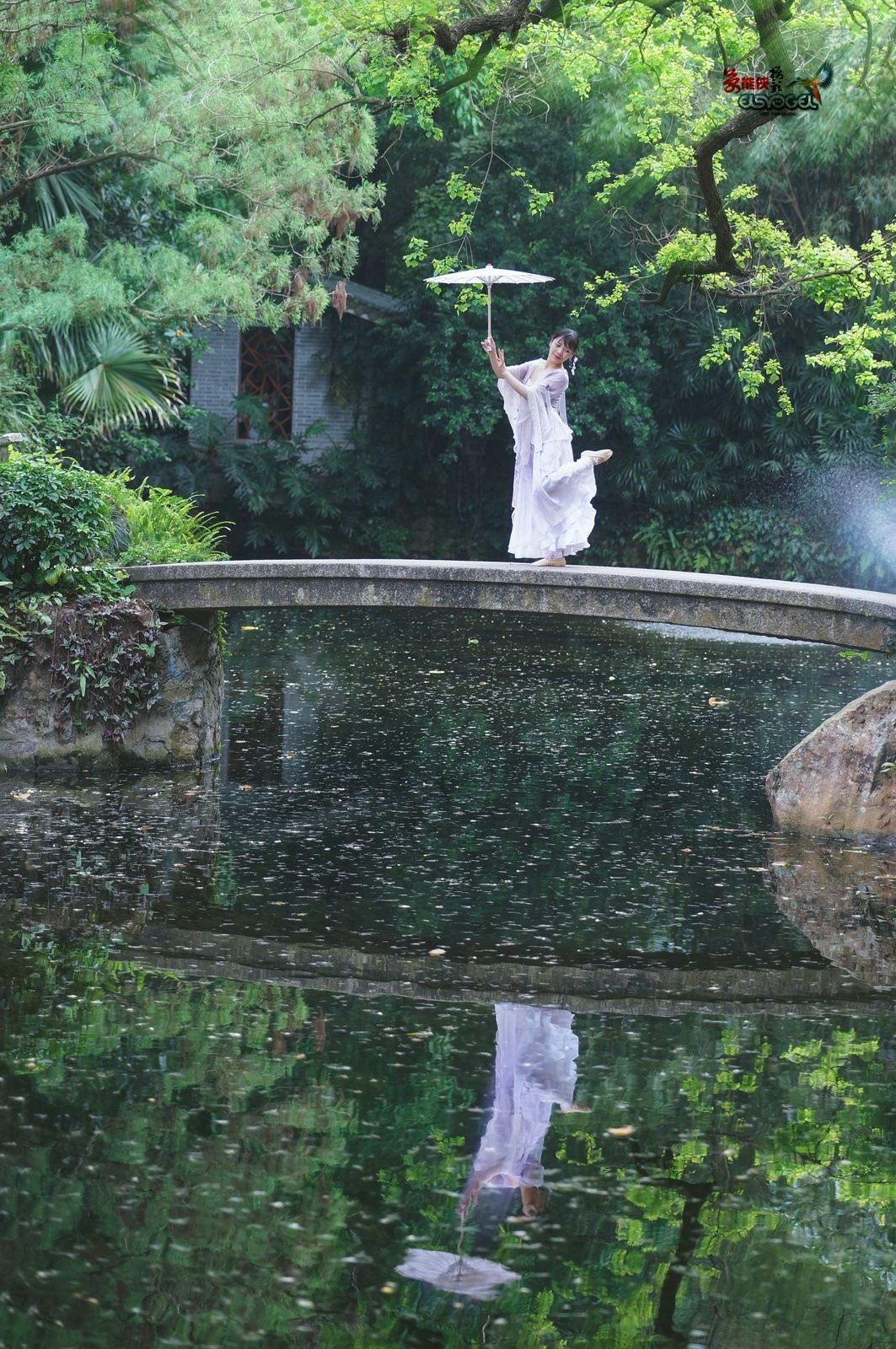 【蓝桥遗梦】---佳佳