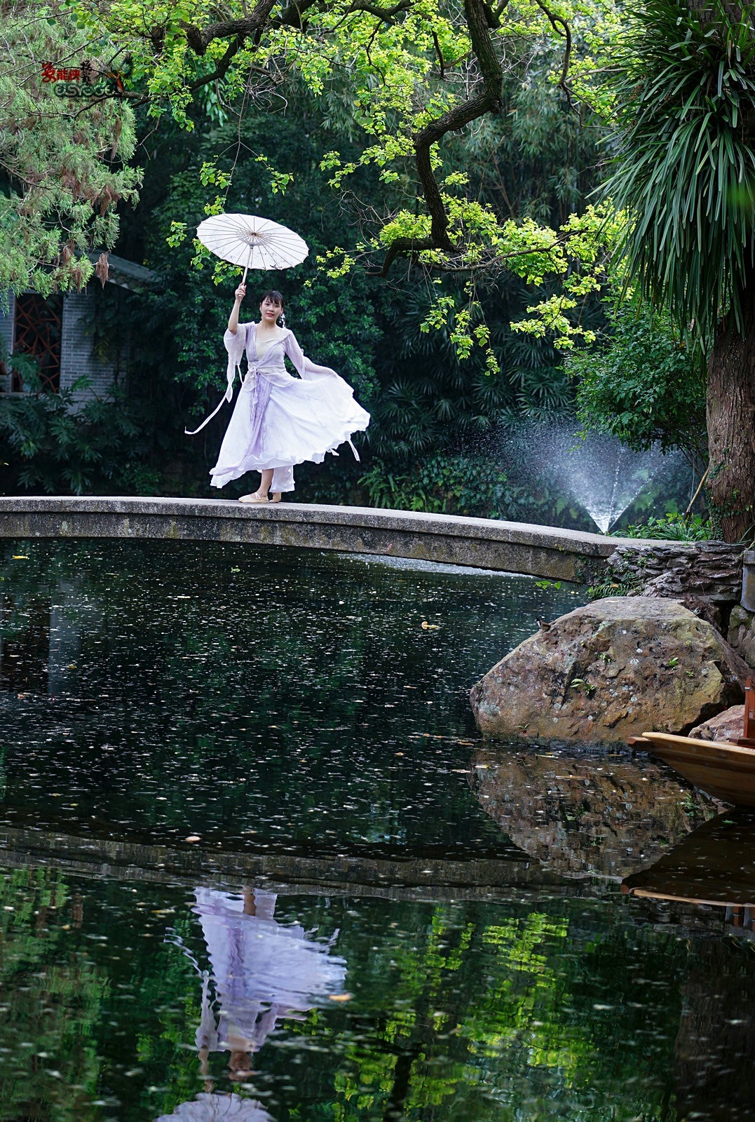 【蓝桥遗梦】---佳佳