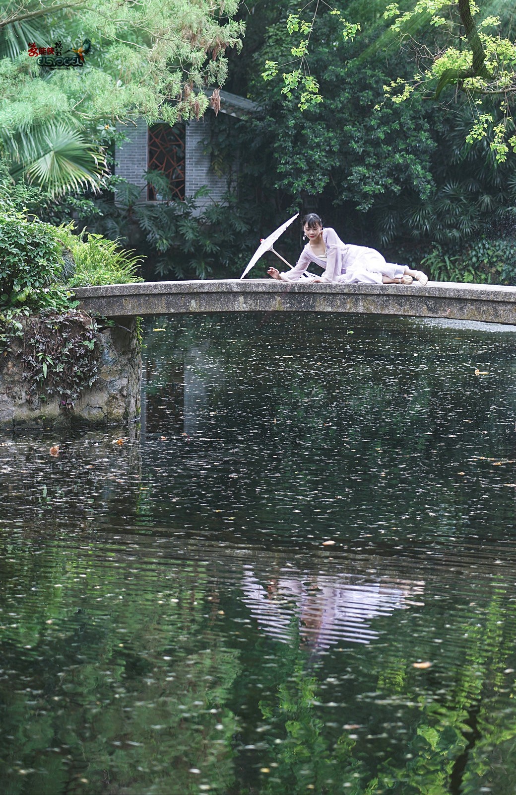 【蓝桥遗梦】---佳佳