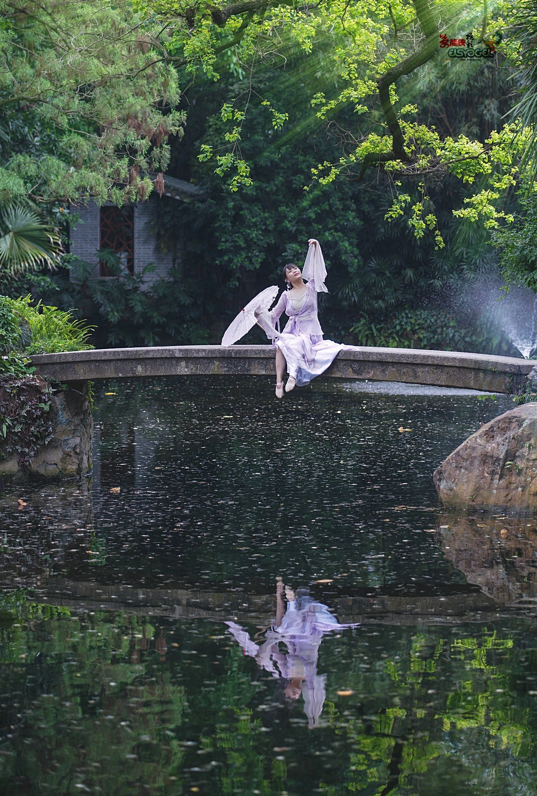 【蓝桥遗梦】---佳佳