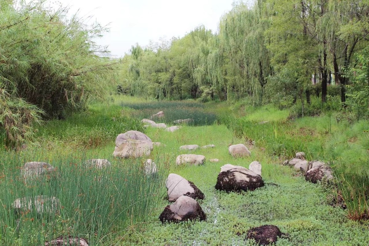 佳能700D新手试机，请各位大师指点。