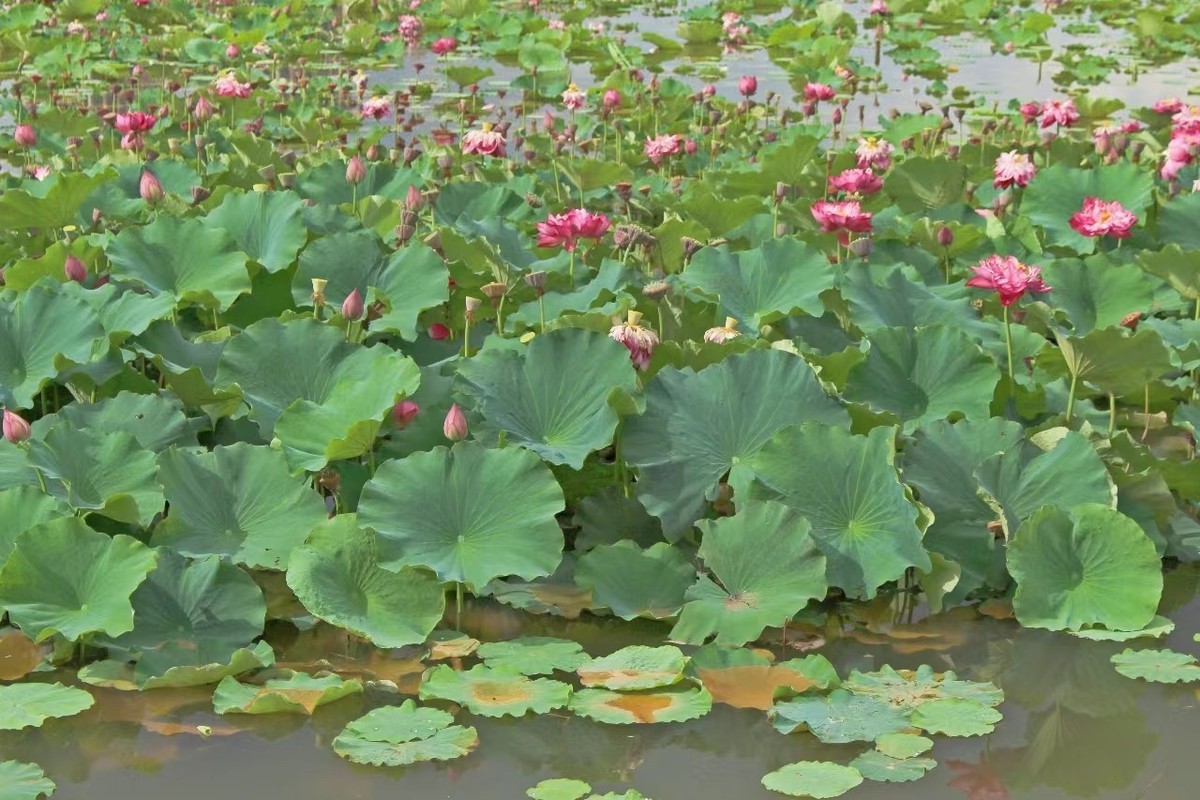 佳能700D新手试机，请各位大师指点。