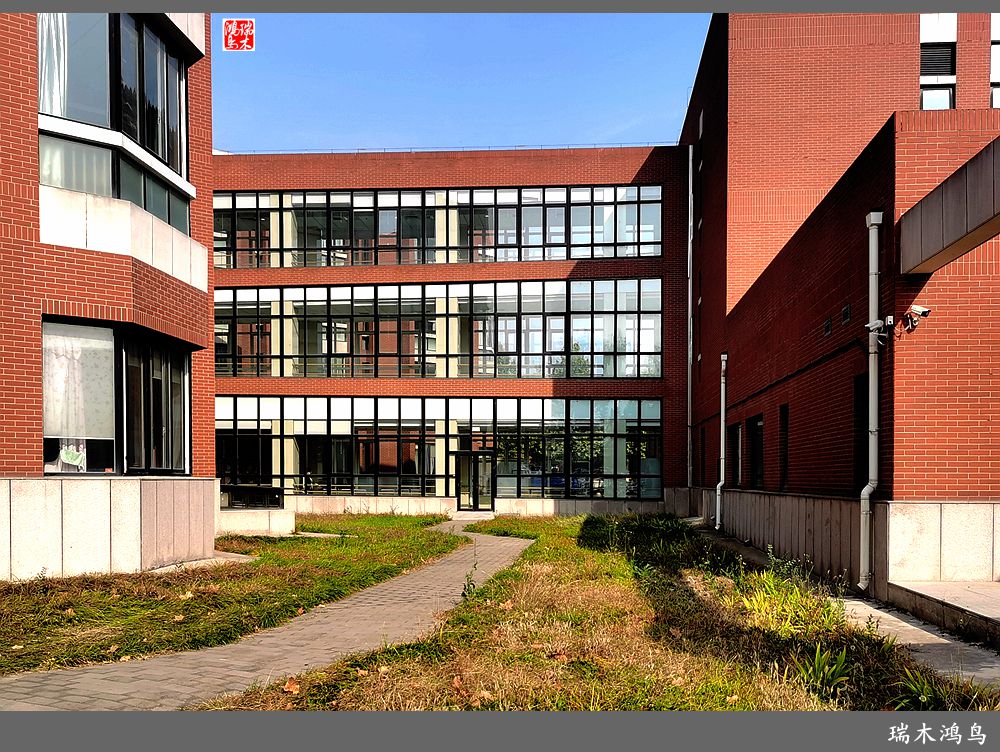 【手机随拍】悄悄地讲述病房里的故事