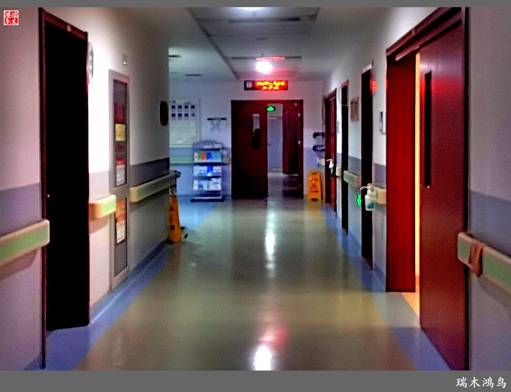 【手机随拍】悄悄地讲述病房里的故事