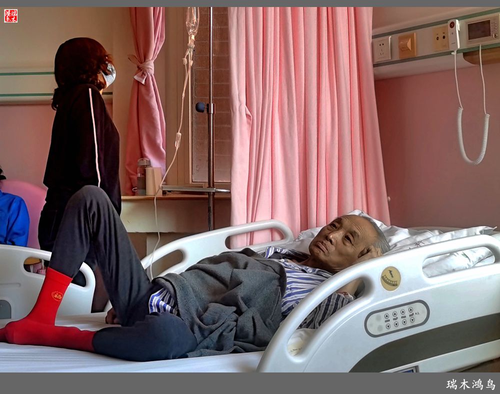 【手机随拍】悄悄地讲述病房里的故事