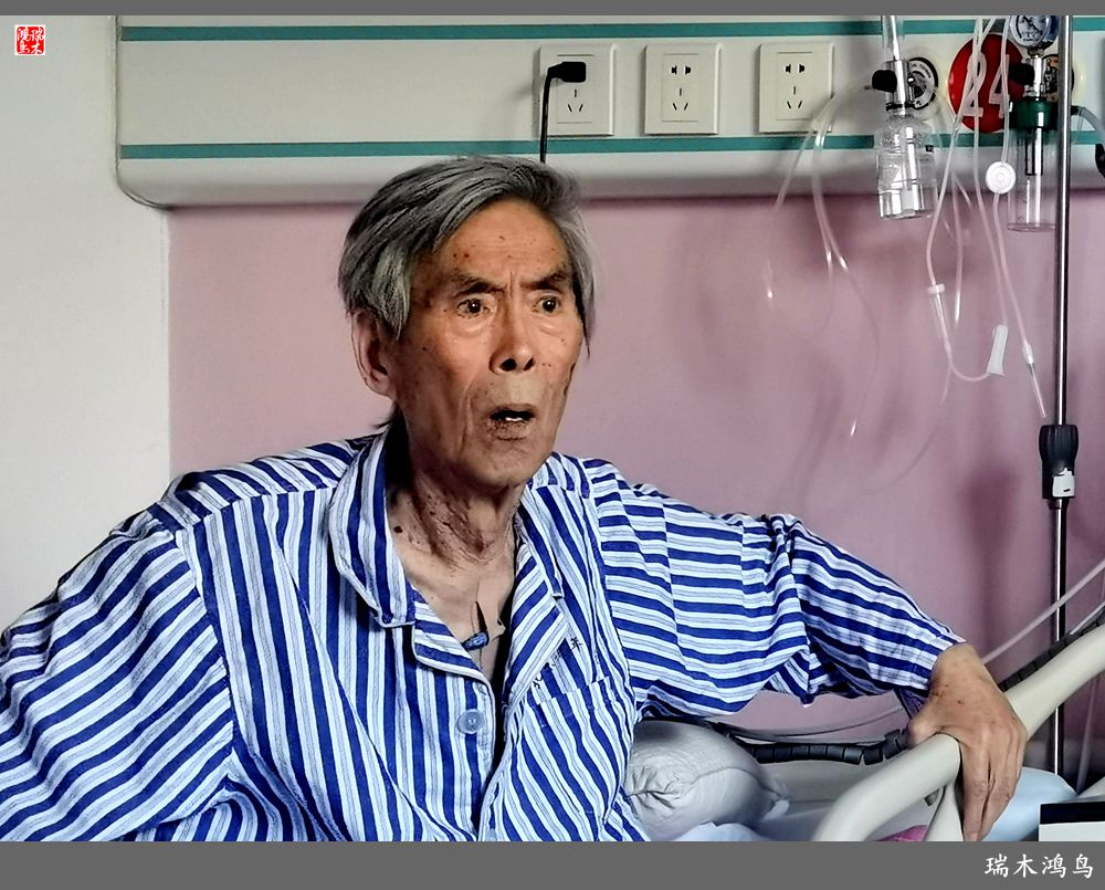 【手机随拍】悄悄地讲述病房里的故事