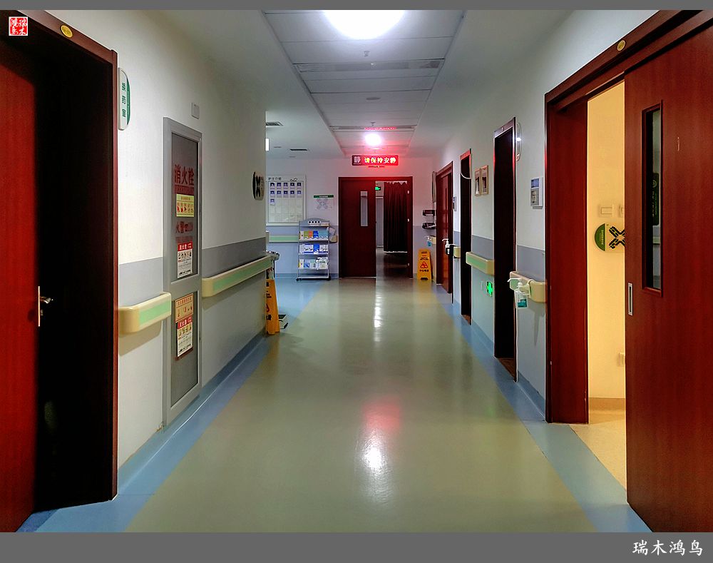 【手机随拍】悄悄地讲述病房里的故事