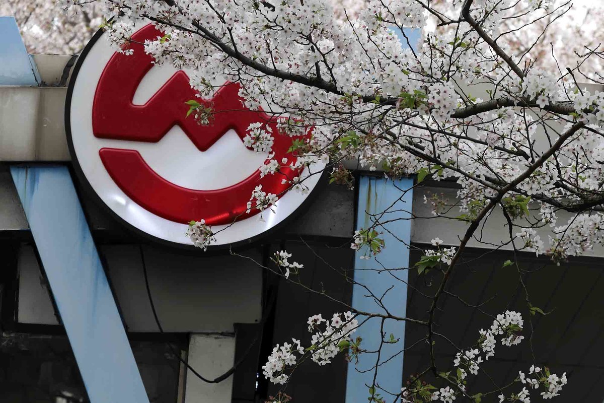 虹口足球场樱花