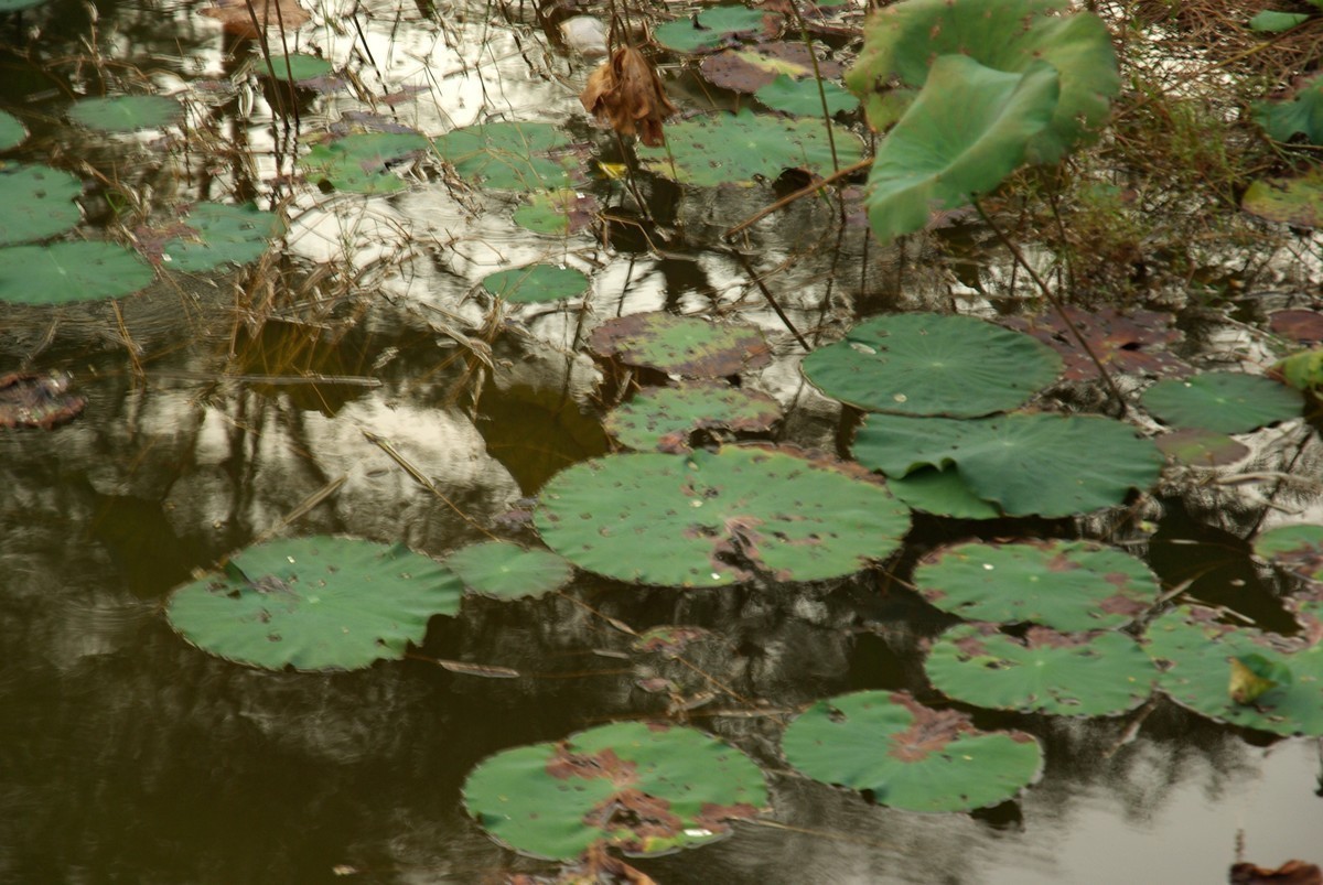 宾得K10d+DA16-85mm f/3.5-5.6ED镜头