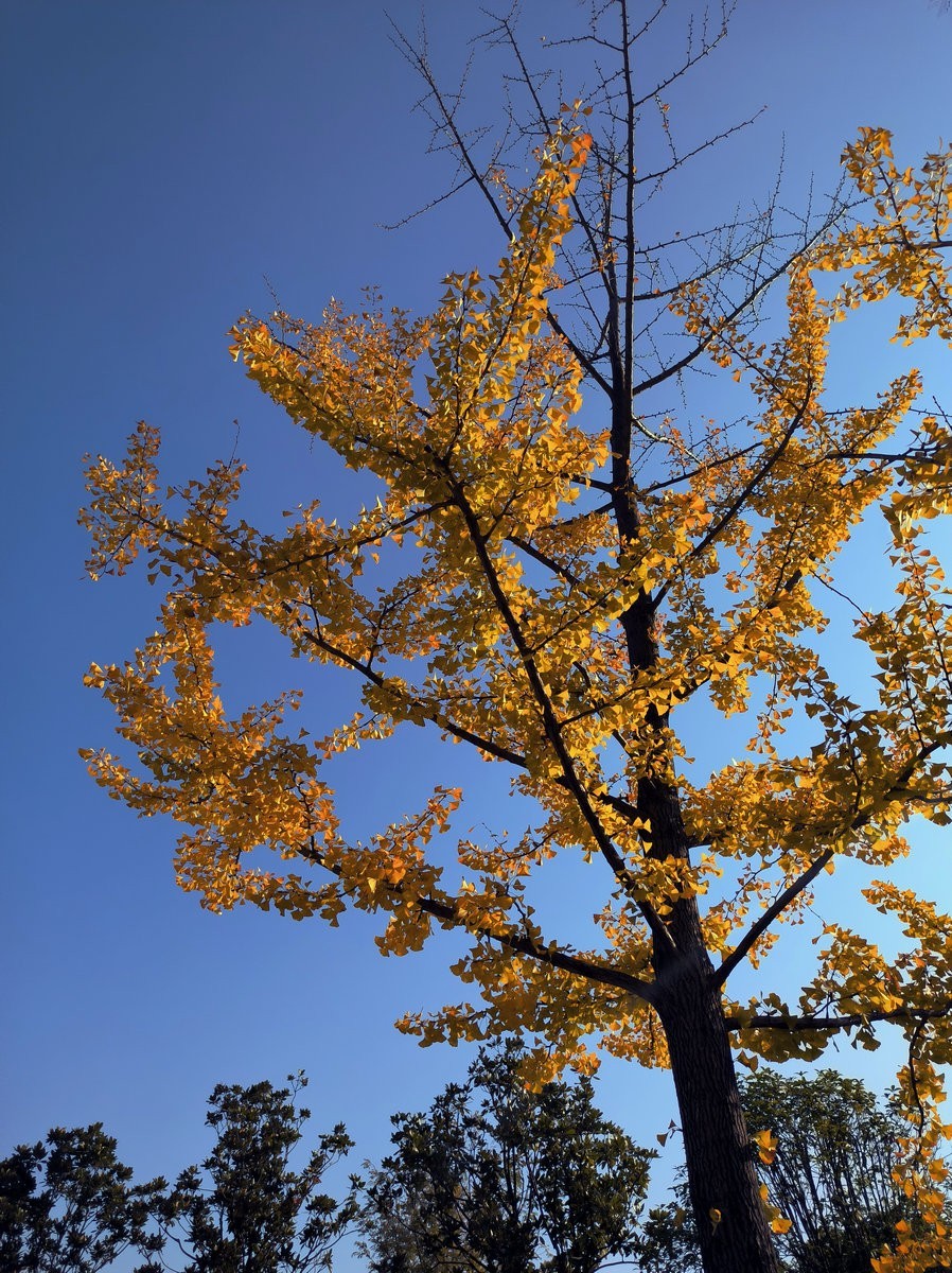 漫步星城 走街串巷（584）冬日里的温暖