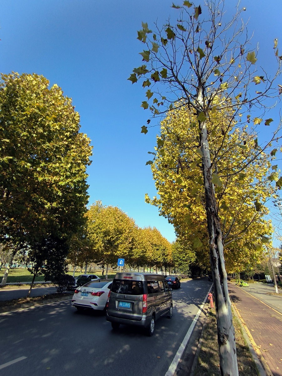 漫步星城 走街串巷（584）冬日里的温暖