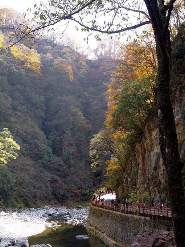 光雾山金秋行【13】