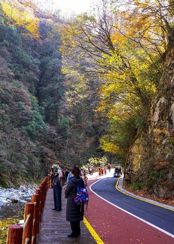 光雾山金秋行【13】