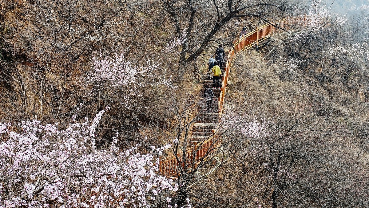 黄花城水长城初春 四