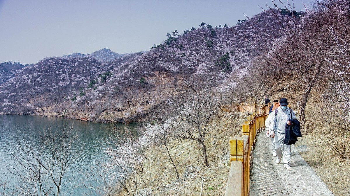 黄花城水长城初春 四