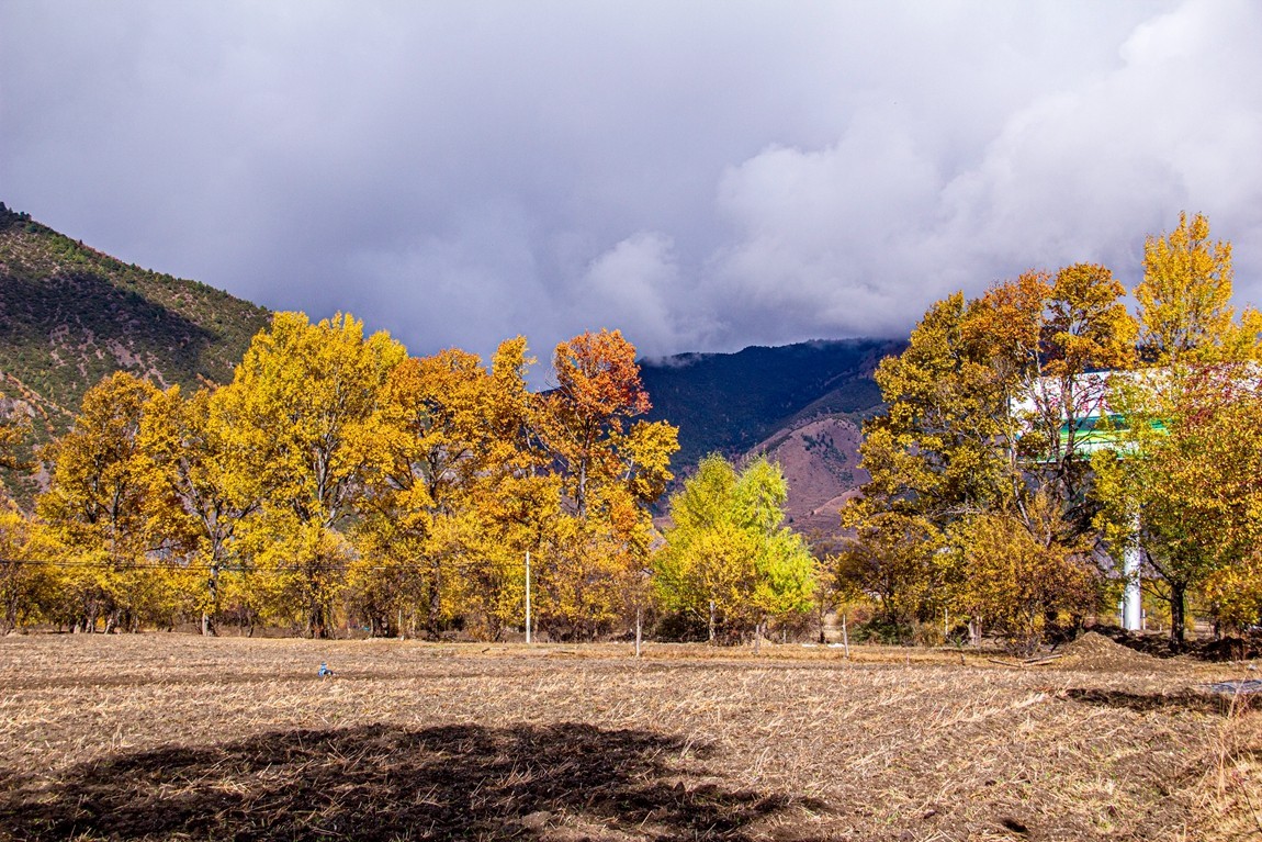 秋行川西高原--提吾村【1】