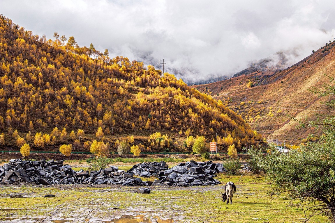 秋行川西高原--提吾村【1】