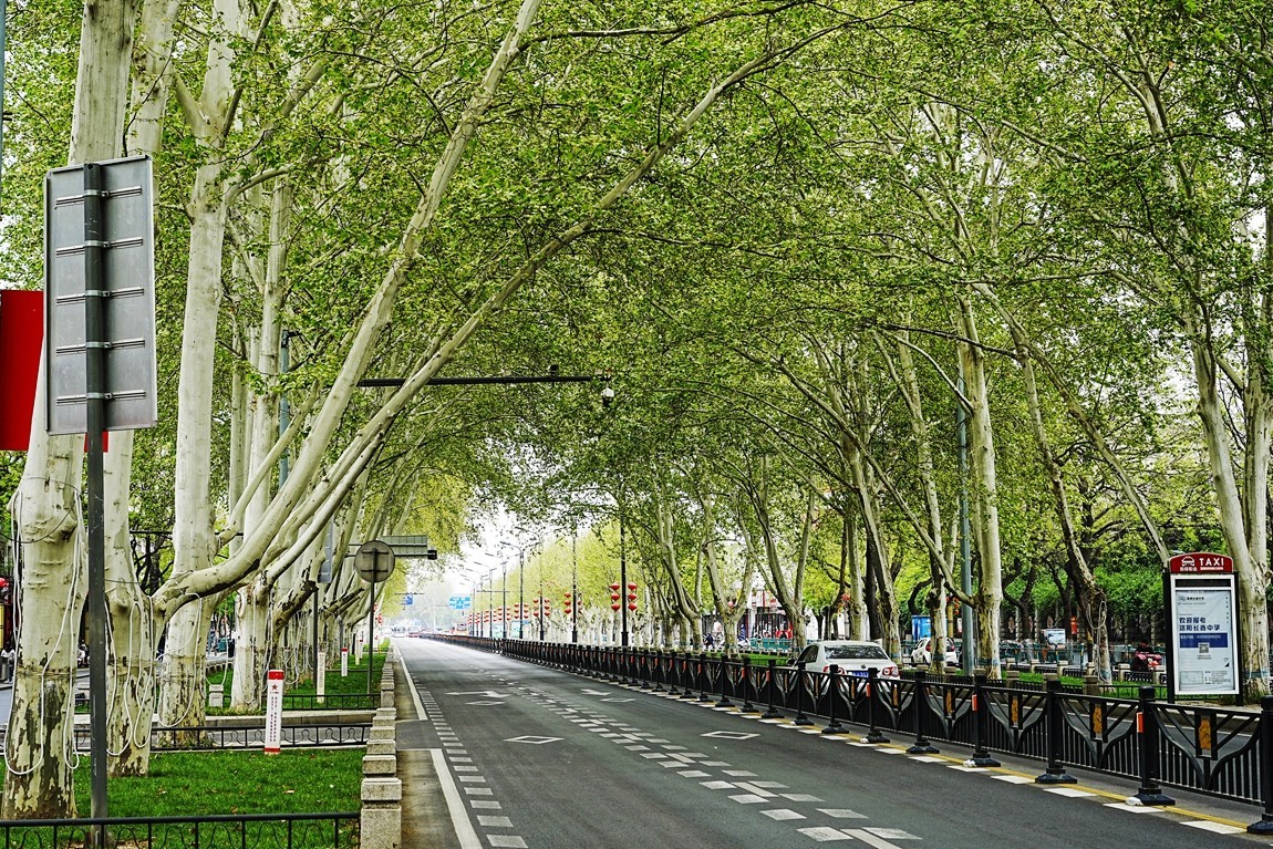 河南洛阳--白马寺【7】续完