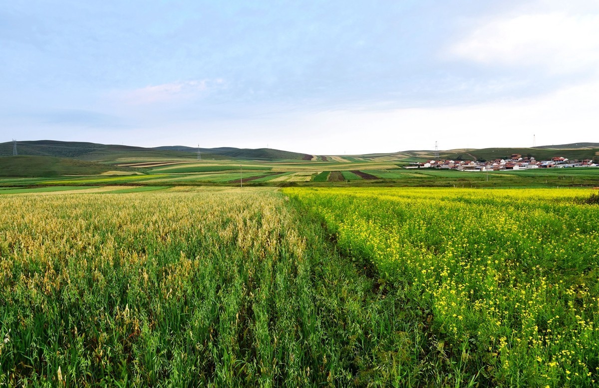 内蒙卓资县红石崖国家生态公园【1】