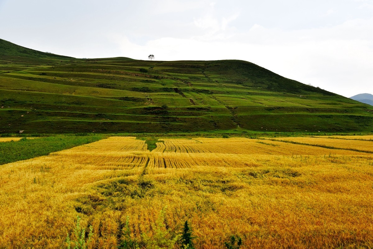 内蒙卓资县红石崖国家生态公园【1】