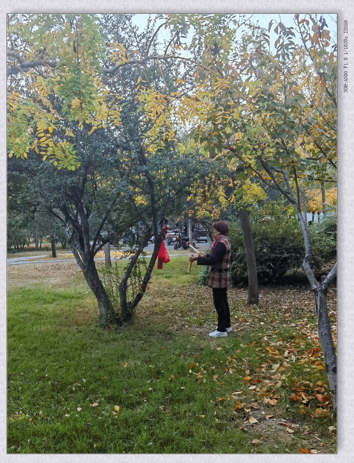 甲辰年冬拍【2024-195】