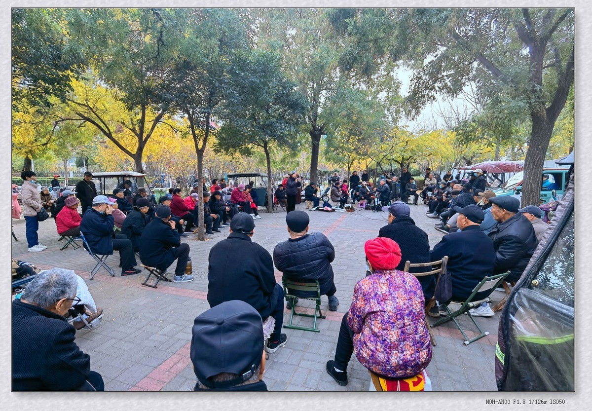 甲辰年冬拍【2024-195】