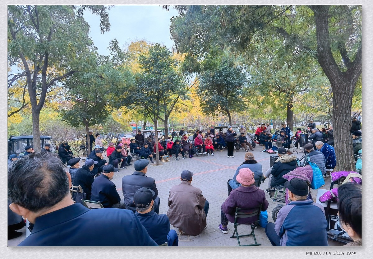 甲辰年冬拍【2024-195】