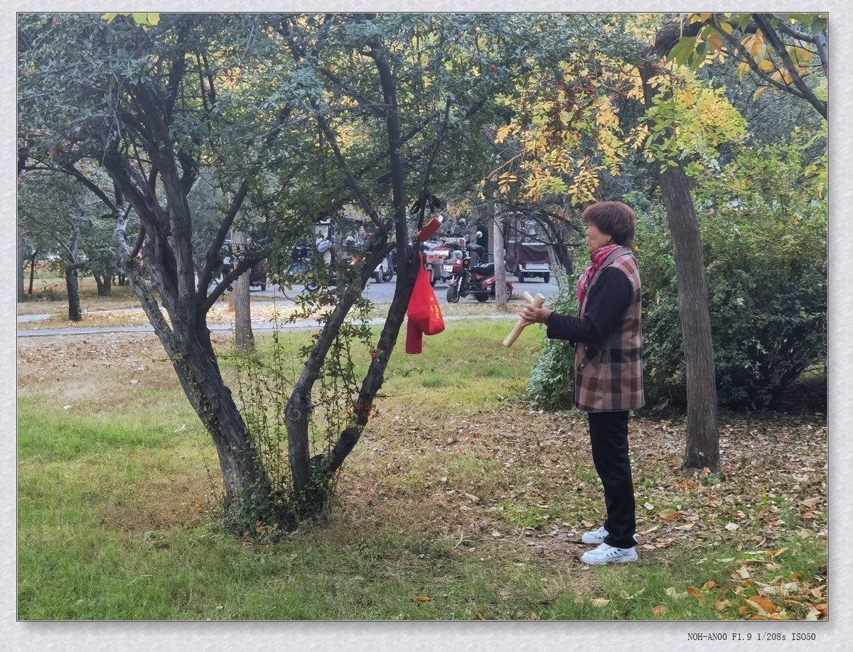 甲辰年冬拍【2024-195】