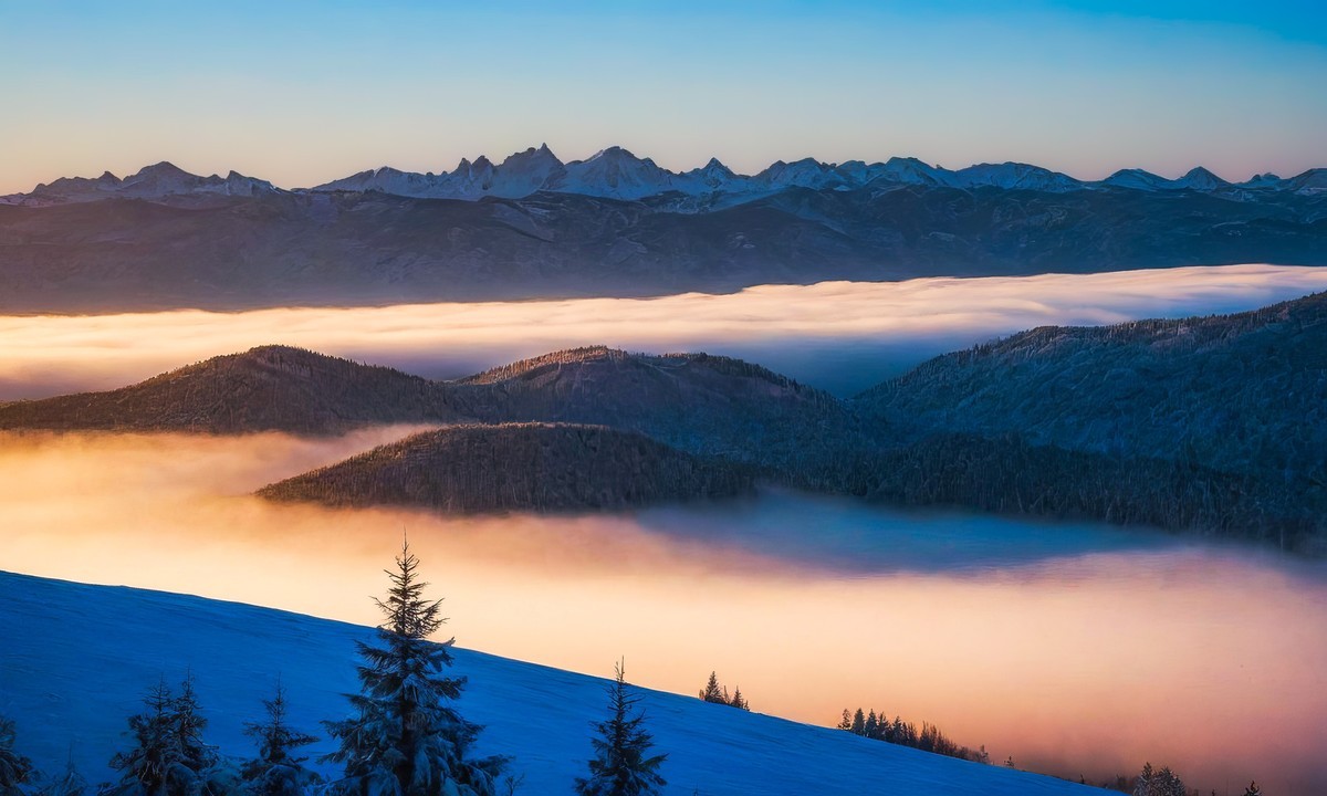 守护心灵的净土