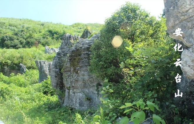 骑行云台山_远方相见，茶园相逢