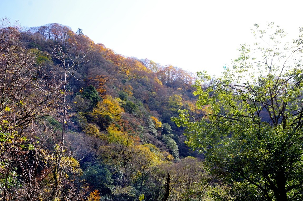 光雾山金秋行【13】