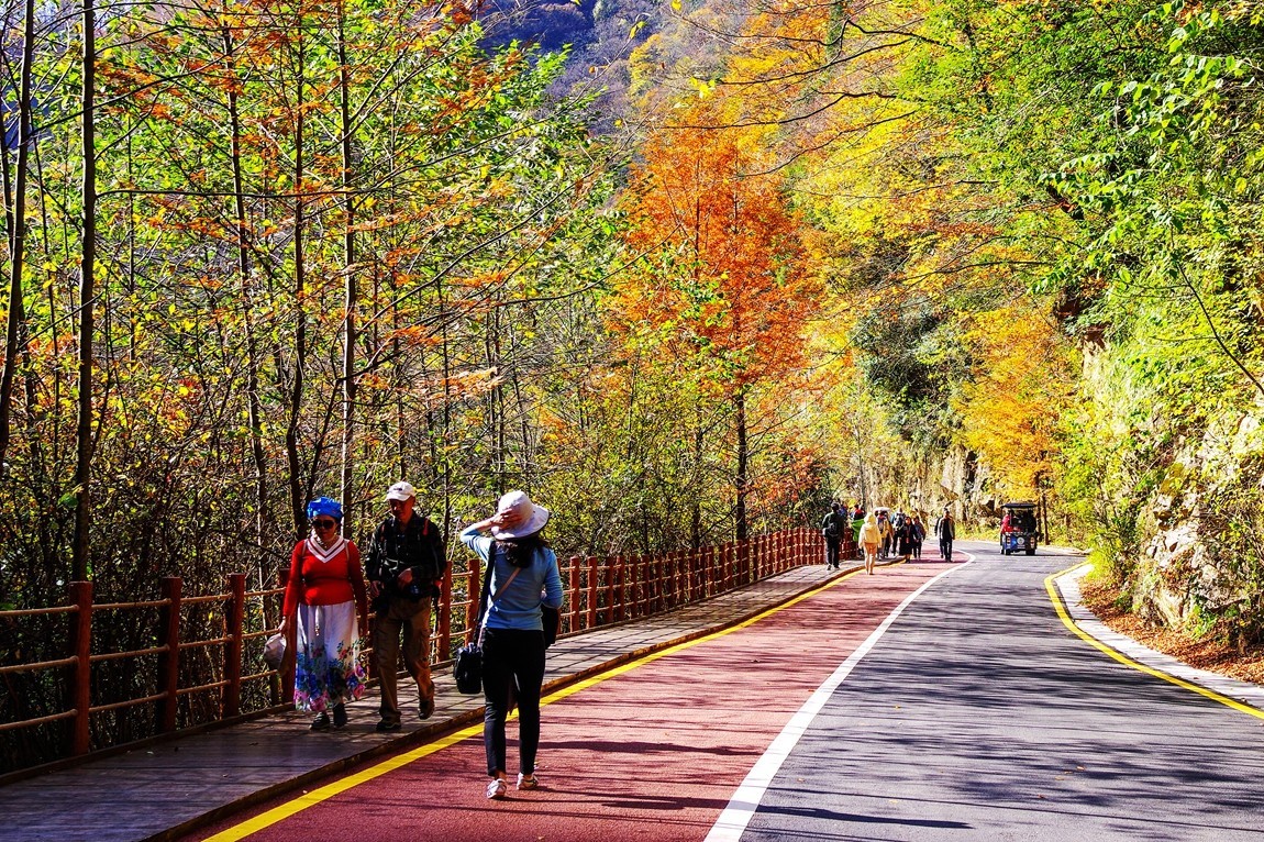 光雾山金秋行【13】