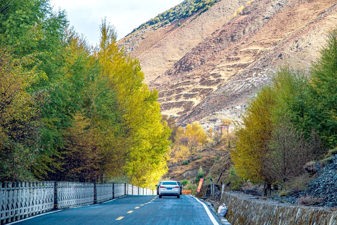 秋行川西高原--提吾村【1】