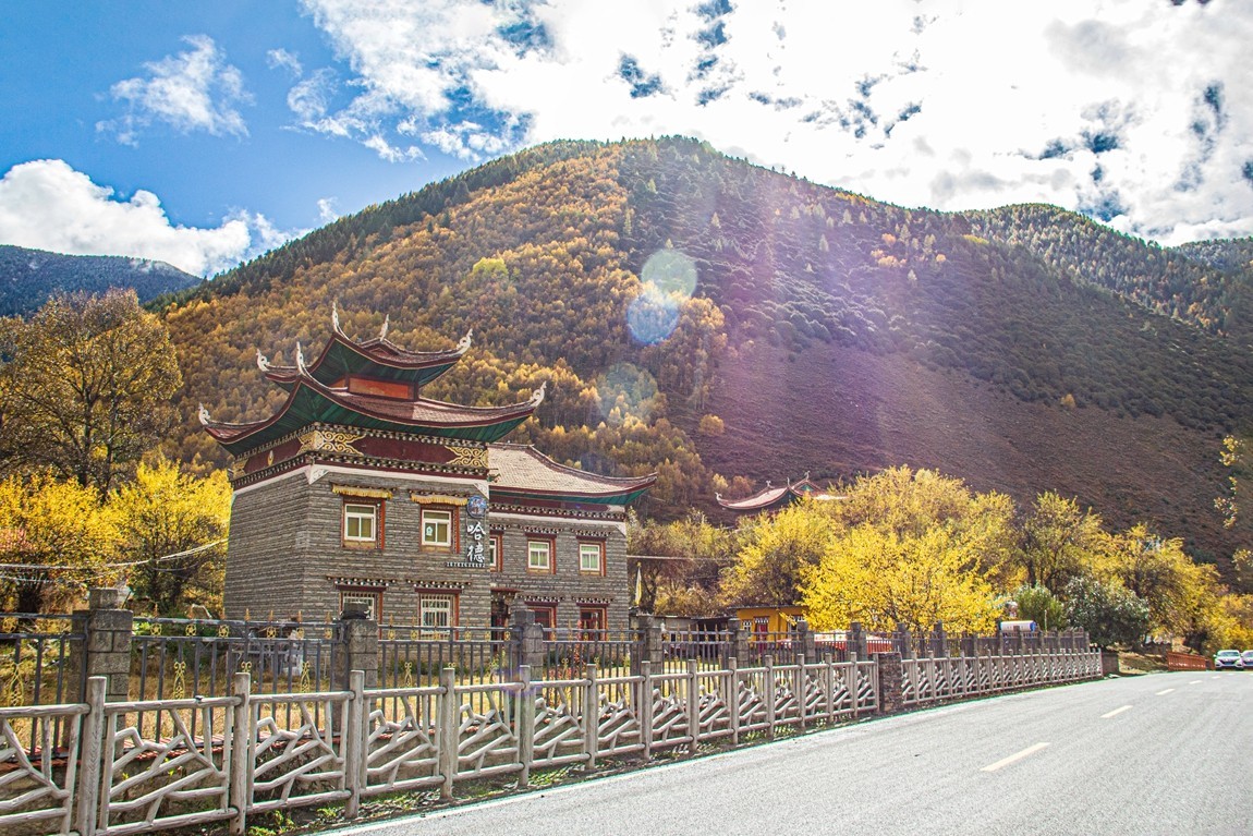 秋行川西高原--提吾村【1】