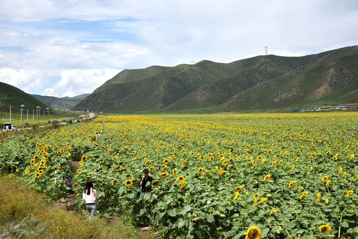 内蒙卓资县红石崖国家生态公园【1】