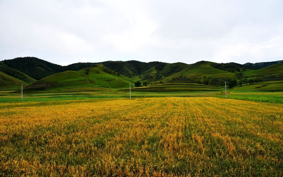 内蒙卓资县红石崖国家生态公园【1】