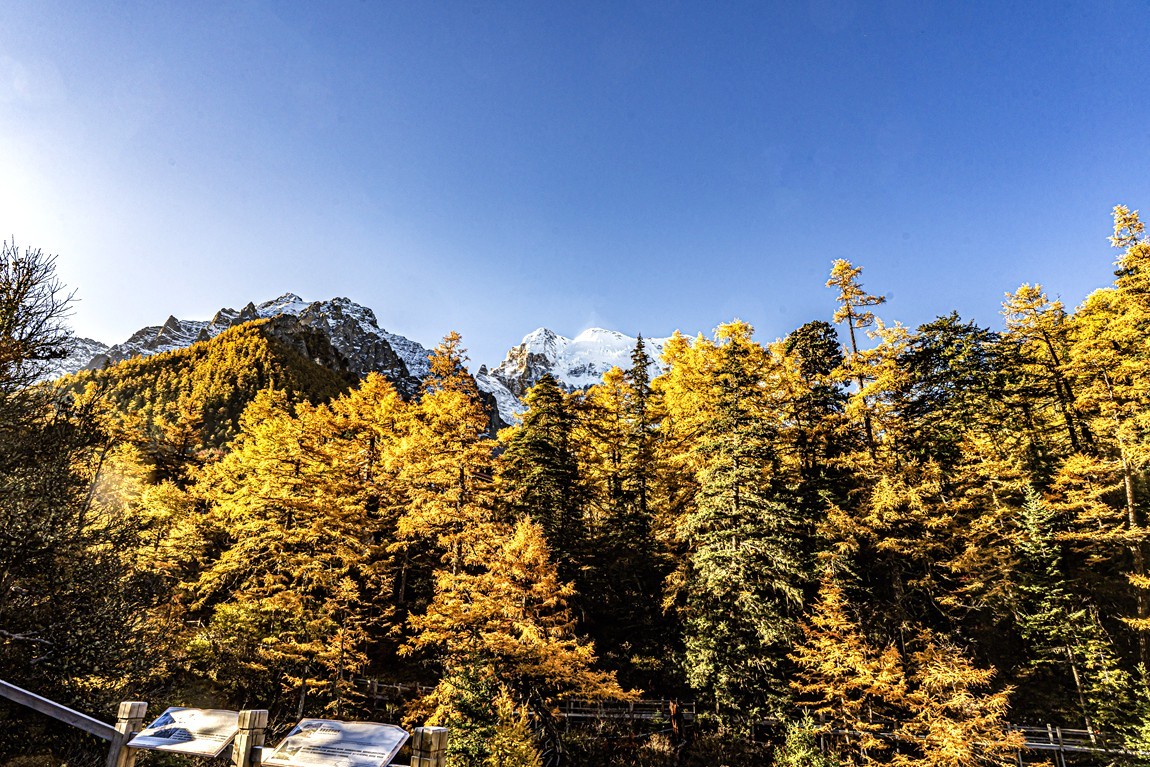 仙乃日--稻城亚丁三神山之首【3】