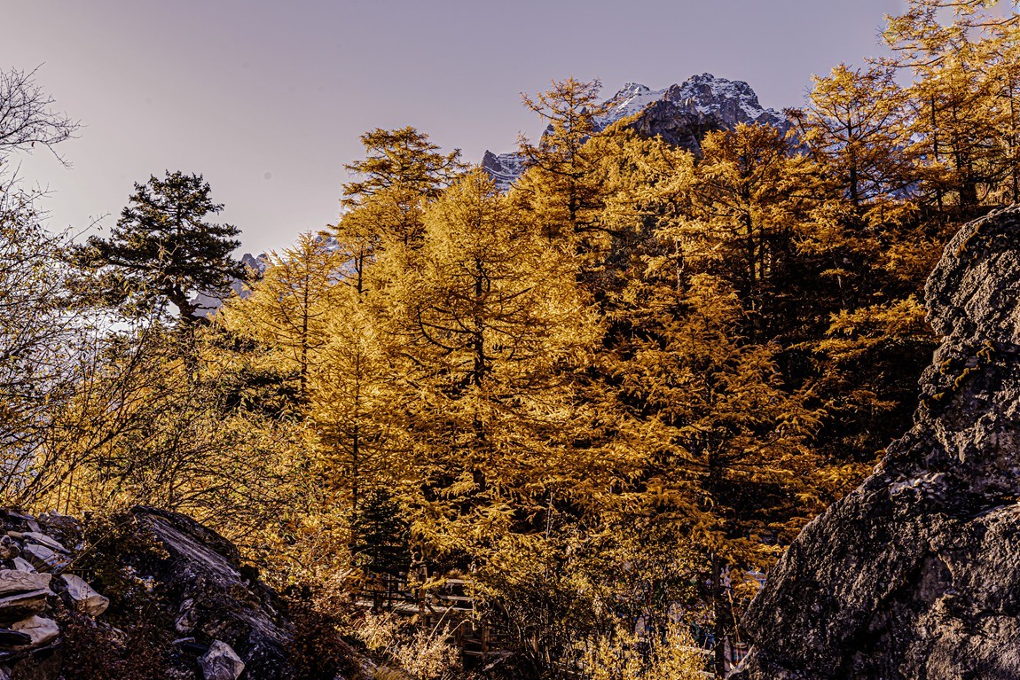 仙乃日--稻城亚丁三神山之首【3】