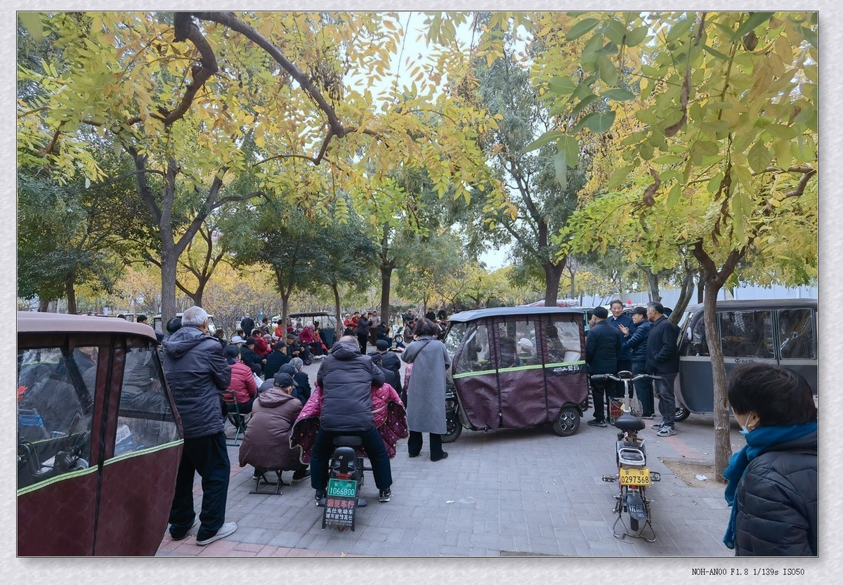 甲辰年冬拍【2024-195】