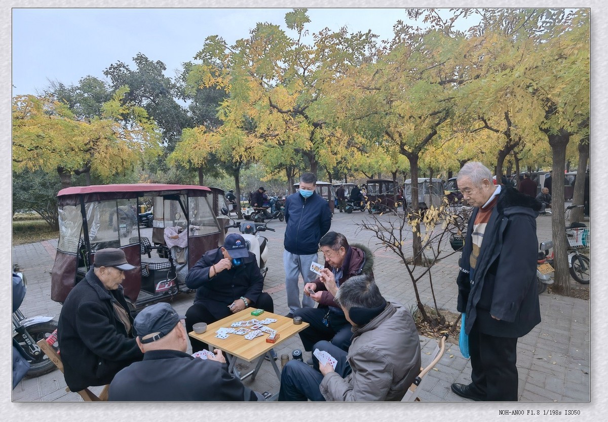 甲辰年冬拍【2024-195】