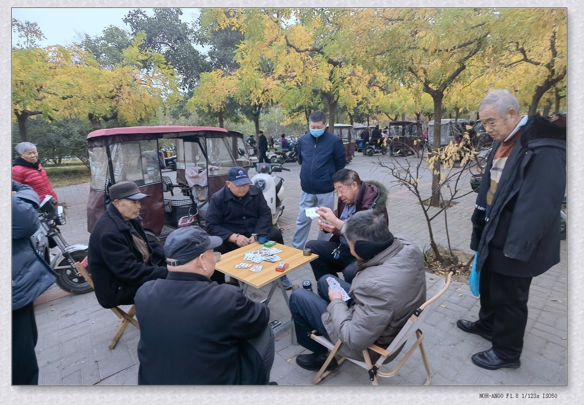 甲辰年冬拍【2024-195】