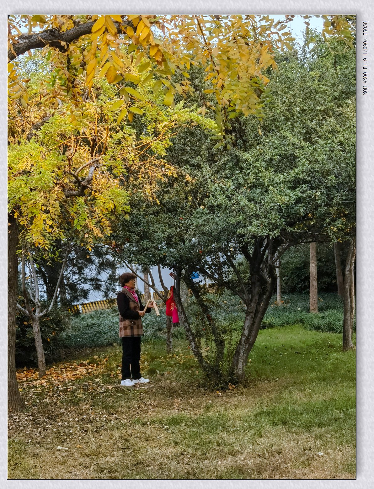 甲辰年冬拍【2024-195】