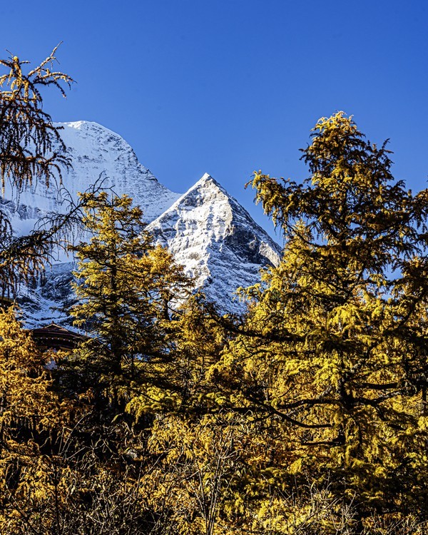 仙乃日--稻城亚丁三神山之首【3】